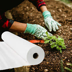 Як використовувати Біле укривне агроволокно для захисту рослин