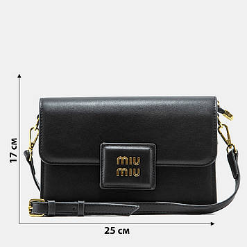 A0249 MIU MIU 25x17x8
