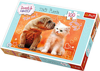 Пазли - (100 елм.) - "Обійми і поцілунки"