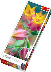 Пазли - (300 елм. Домашня галерея) - "Квіти в кольорі"