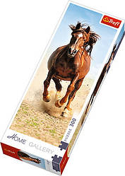 Пазли - (300 елм. Домашня галерея) - "Кінь"
