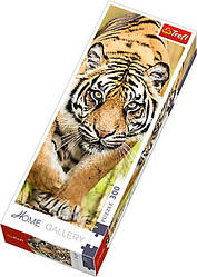 Пазли - (300 елм. Домашня галерея) - "Стрибок тигра"