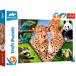 Пазли - (100 елм.) - "Красота природи"