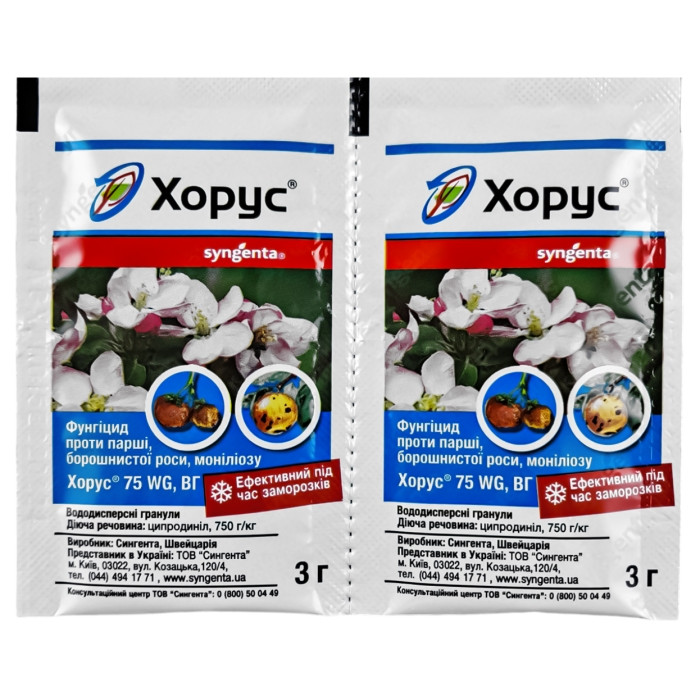 Фунгіцид хорус 3г, фото 1