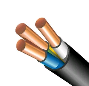 Кабель ВВГнгд 3х10 (1-кл)