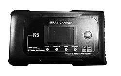 Інтелектуальний зарядний пристрій для акумуляторів HTRC P25 (P25/25AM/N25)