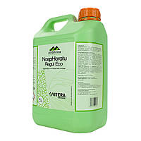 Коректор рН та жорсткості води Носферату Регул-Еко | NospHeratu Regul-Eco Atlantica 5 л