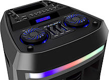 Портативна колонка Dynasonic DY-65201 (з мікрофоном, з пультом, з підсвічуванням, 25x25x56.5cm, 20W, FM), фото 5