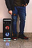 Портативна колонка Dynasonic DY-65201 (з мікрофоном, з пультом, з підсвічуванням, 25x25x56.5cm, 20W, FM), фото 6