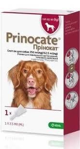 Прінокат краплі спот-он для собак 10-25 кг, 250/62,5 мг, 2,5 мл №3 *, фото 1