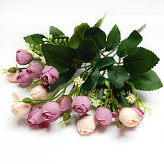 Букет ранункулюсів з гіпсофілою, 15 бутонів по 2 см, пурпурний-крем