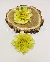 Голова жоржини 9см . Салатово- жовта
