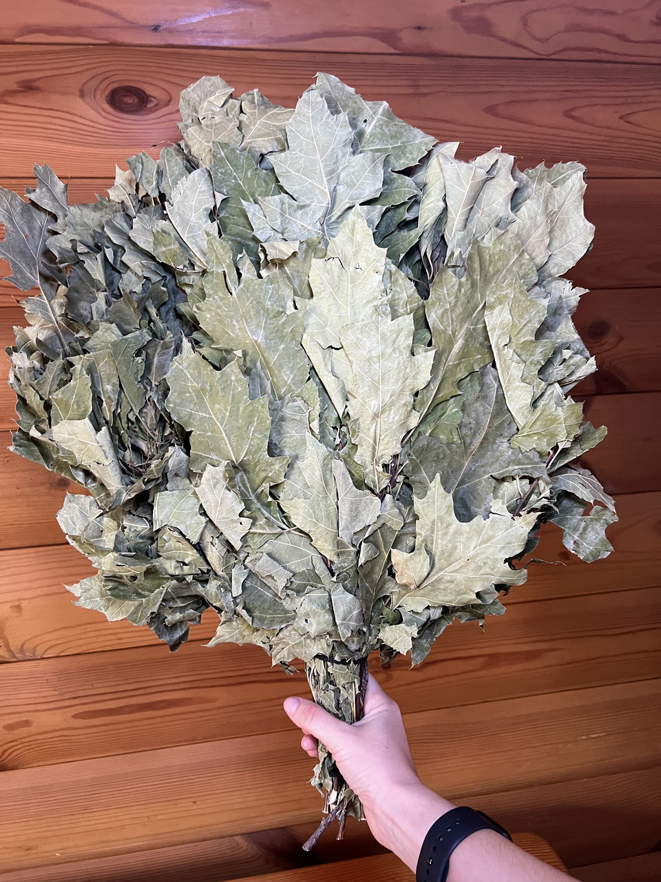 Віник канадський дуб, фото 1