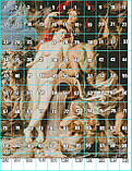 (Електронна)Схема для вишивання хрестиком або петитом: "Союз землі і води", фото 3