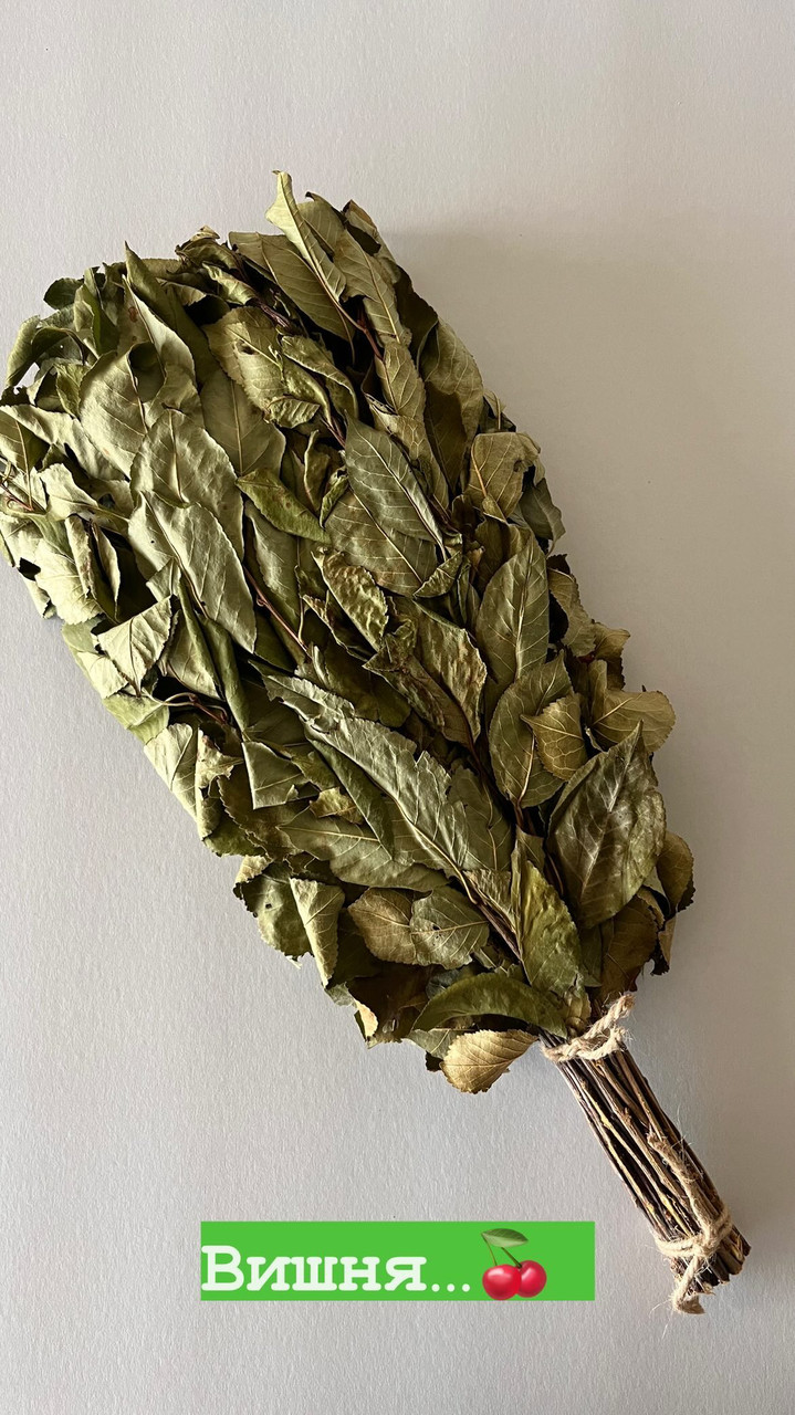 Віник з вишні, фото 1