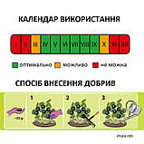 Добриво для лохини та чорниці Planta 1 кг, Польща, фото 4