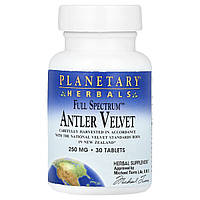 Planetary Herbals, Full Spectrum™, оксамитові панти, 500 мг, 30 таблеток (250 мг в 1 таблетці)