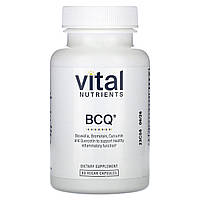 Vital Nutrients, BCQ, 60 веганських капсул