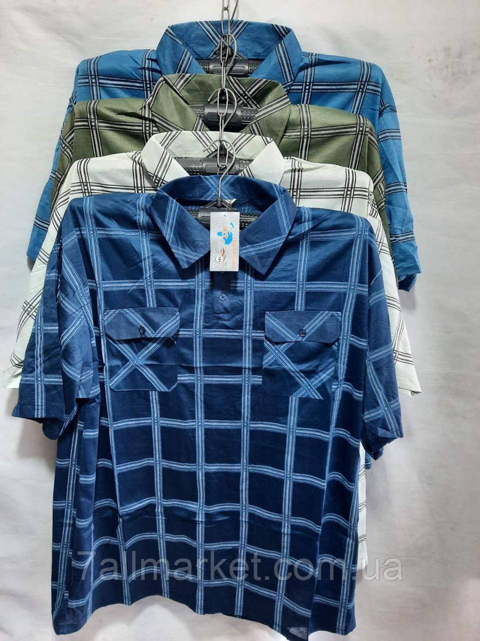 Футболка-поло чоловіча розміри 48-56 (мікс) "CANDY" купити недорого від прямого постачальника