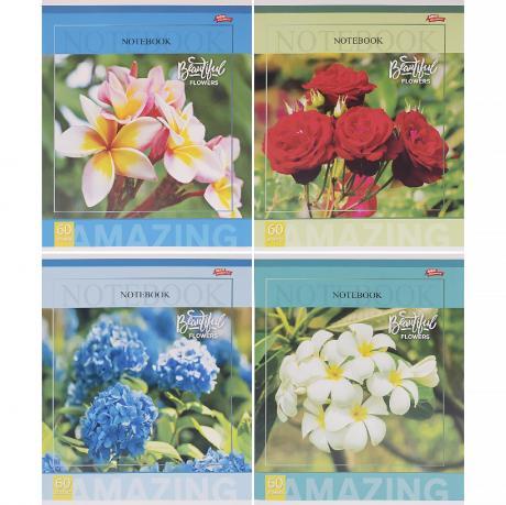 Зошит кольоровий 60 листів, клітина 3770 D MZOPT