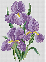 Алмазний живопис акриловими камінням Іриси Dream Art 30337 (23 x 31 см)