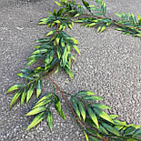 Ліана штучна рускус 180 см, фото 2