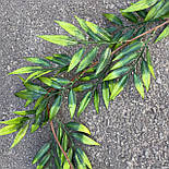 Ліана штучна рускус 180 см, фото 3