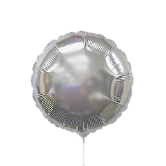 9" FLEXMETAL-ФМ 026 КОЛО Металік Срібло | Silver