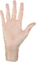 Vinylex Vinylex Gloves прозрачные без пудры М 100 шт., фото 3