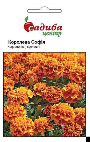 Насіння чорнобривців Королева Софія, 0,2 г, Садиба, фото 1