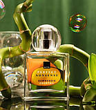 Парфумна вода для жінок Perfect Nonsense Choco Bamboozie Cocktail  цитрусові AVON, 50 мл, фото 4