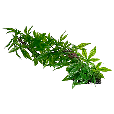 Штучні рослини для акваріума Atman серії TS