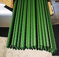 Опора для рослин 150см діам. 11мм. Agrario/Bradas металева покрита ПВХ, палиця для підв'язки помідорів, огірків