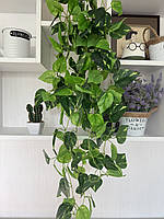 Штучна ампельна дифенбахія 1 м — латексне листя, декоративна зелень для інтер’єру, фотозон, декору, фото 8