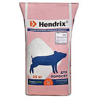 Хендрикс стартер КТ 10-30 Экстра трау, Hendrix БМВД старт для поросят 25% 7013_22 Trouw Nutrition, 25 кг
