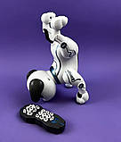 Собачка на радіокеруванні інтерактивна на р/у ТК-12302 "TK Group",озвучено українською,, фото 3