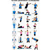 Набір трубчастих амортизаторів BODYLASTICS MAX XT Set 6, фото 8