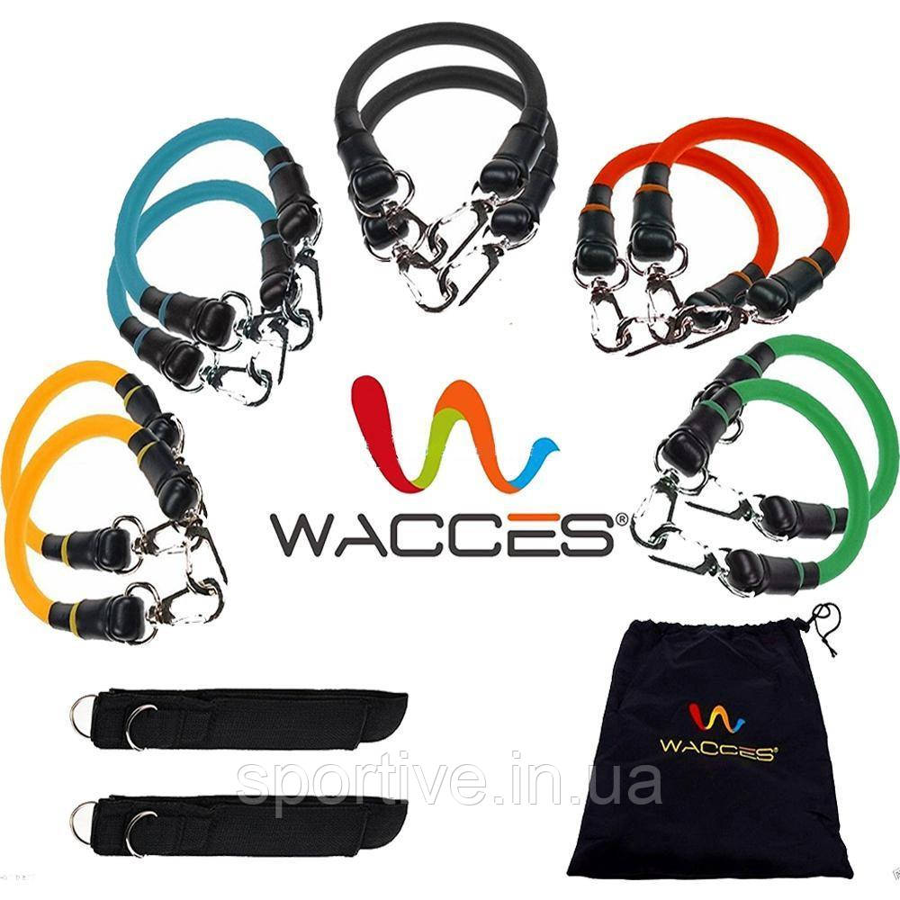 Набір амортизаторів для ніг WACCES Leg Exercise Set
