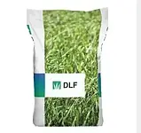 Насіння газонної трави DLF Trifolium Park 20 кг, фото 3