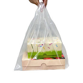 Пакет прозорий з ручкою 25*40см