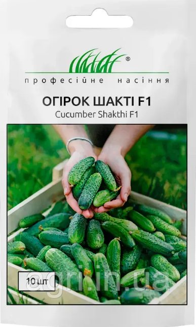 Огірок Шакті F1. 10 шт. Nunhems Zaden, Нідерланди