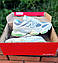 Жіночі спортивні кросівки New Balance 9060 Bricks&Wood (білі із синім) демісезонні 01150 Нью Беленс vkross, фото 9