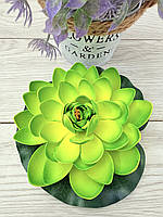 Штучний лотос для водойми, діаметр 18 см — декоративна квітка для ставка, басейну, фонтану, фото 7