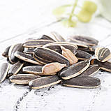 Смажене насіння соняшнику, Жареные семечки подсолнечника, Sunflower seeds ChaCha, 160 гр, Китай, ВО, фото 4
