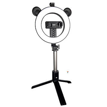 Лампа Кільцева LED (16 cm) Earldom ET-ZP22