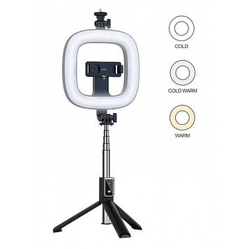 Лампа Кільцева LED (16 cm) Earldom ET-ZP21