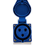 Силовий штепсельний роз'єм 3x32 (стаціонарний)/2P+PE /32 A /220 – 250 В /IP44, фото 2