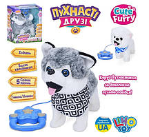 Собака M 5840 I UA  25см, плюш, звук(укр), музика, ходить, рухає хвостом, пульт-повідець, 2 види, на бат-ці, в кор-ці, 30-27