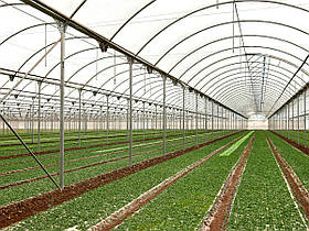 Плівка теплова прозора Agro Save (150 мкм) завширшки 16 м