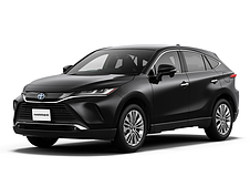 Harrier / Venza (2018-2022) 12,3"